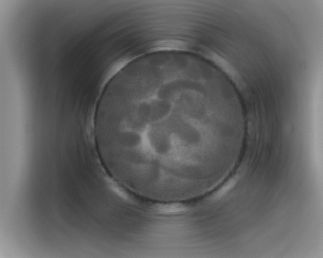 X0000114551129200910191406