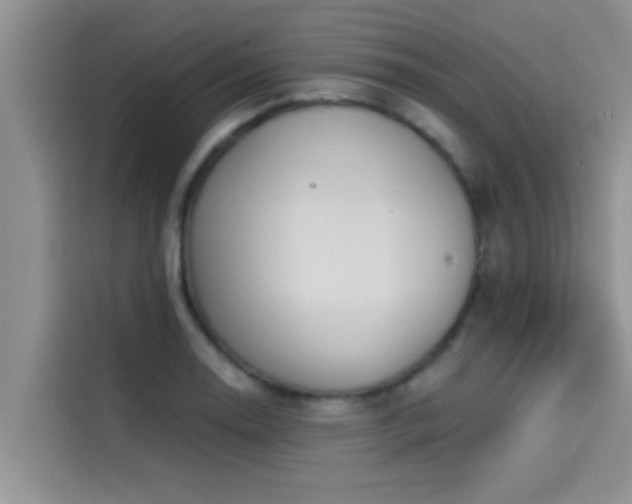 X0000114551130200910191406