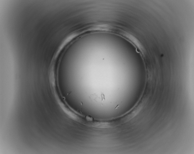 X0000114551131200910191406
