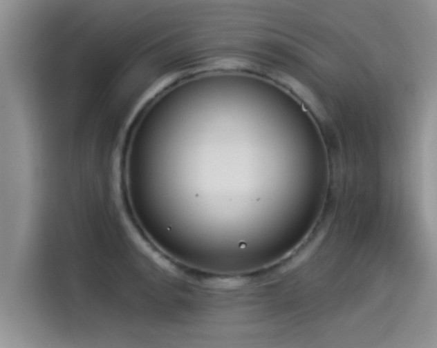 X0000114551134200910191406