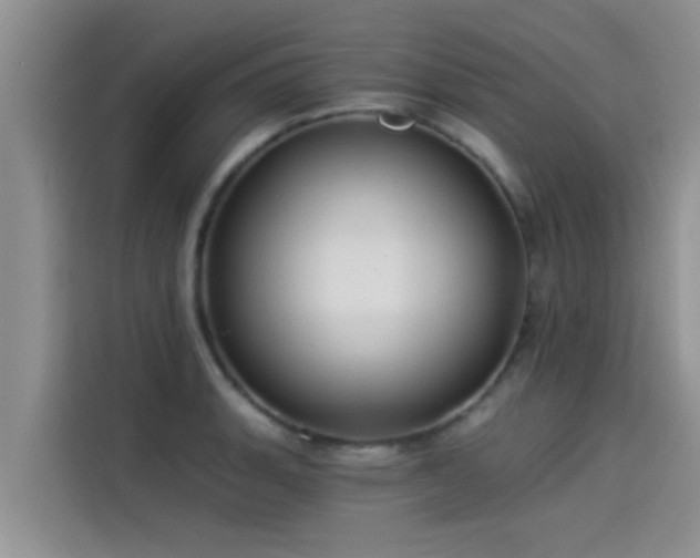 X0000114551135200910191406