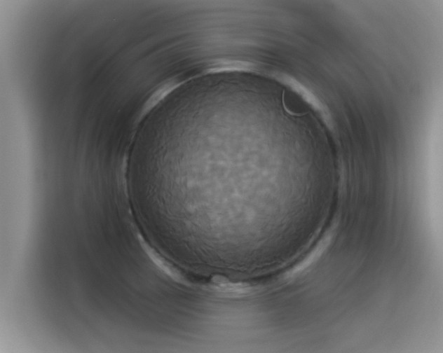 X0000114551137200910191406