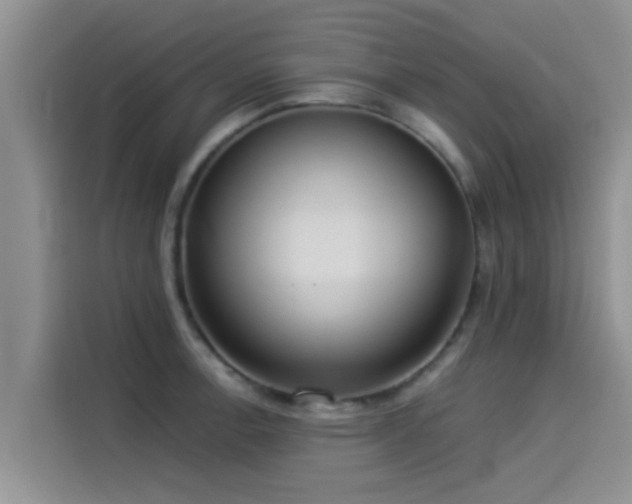 X0000114551138200910191406