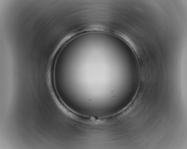 X0000114551139200910191406