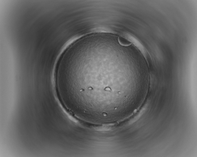 X0000114551141200910191406