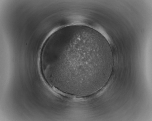 X0000114551142200910191406