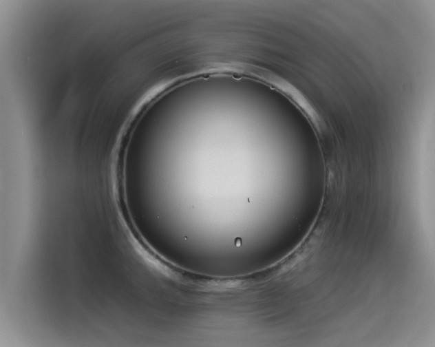 X0000114551143200910191406