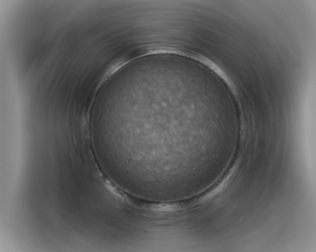 X0000114551145200910191406