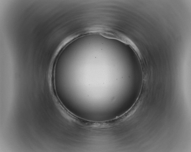X0000114551146200910191406