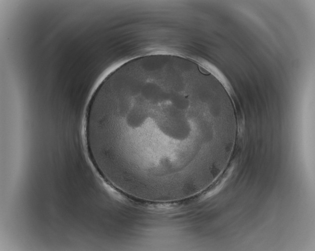 X0000114551149200910191406