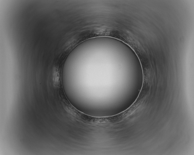 X0000114551154200910191405