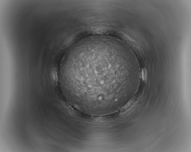 X0000114551155200910191405