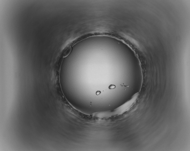 X0000114551160200910191405