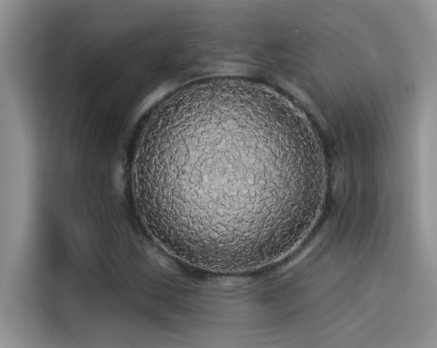 X0000114551163200910191405