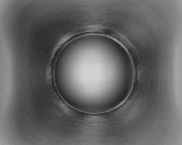 X0000114551164200910191405