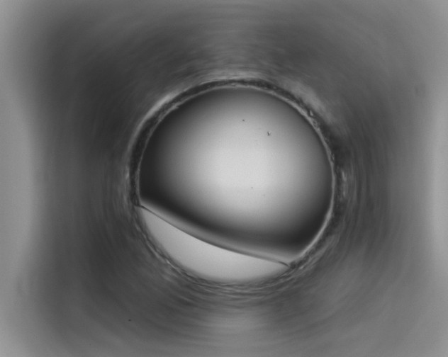 X0000114551165200910191405