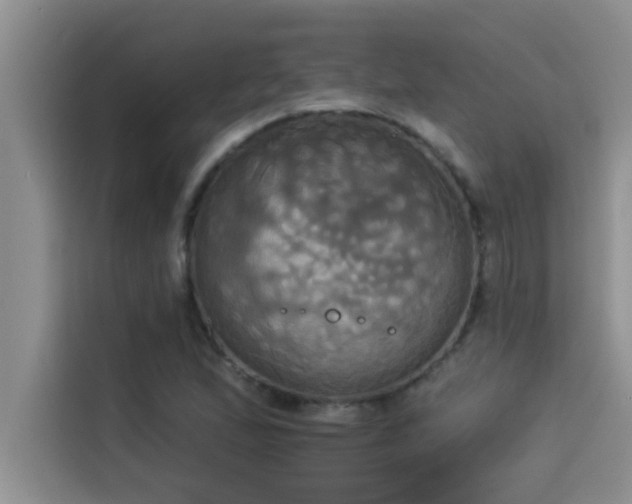 X0000114551167200910191405