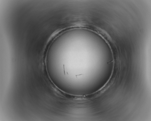 X0000114551168200910191405