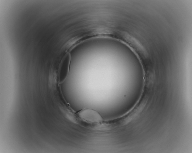X0000114551169200910191405