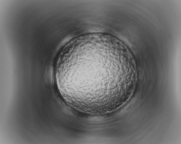 X0000114551171200910191405