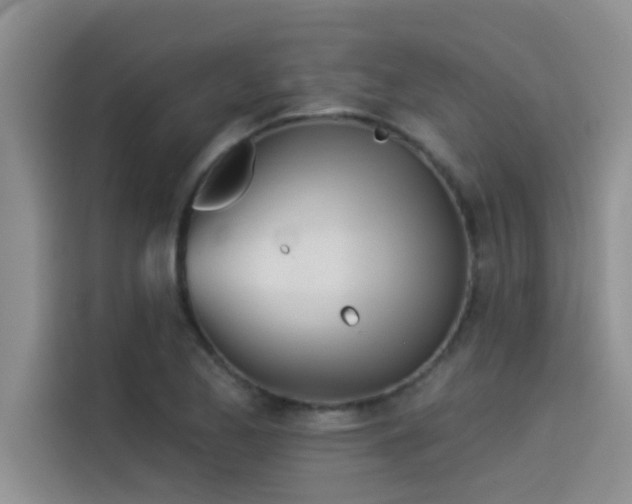 X0000114551173200910191405