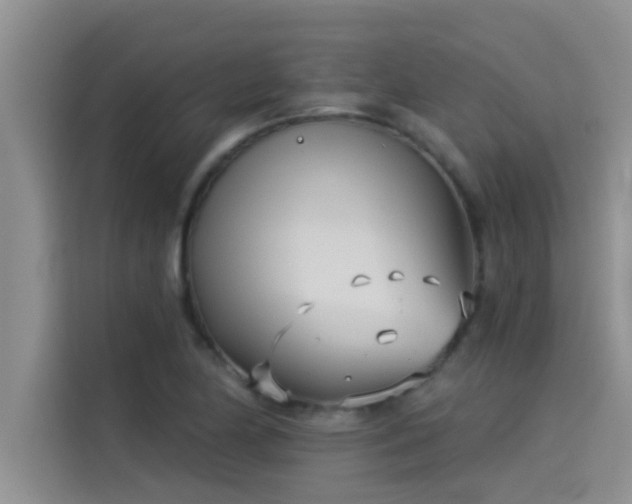 X0000114551174200910191405