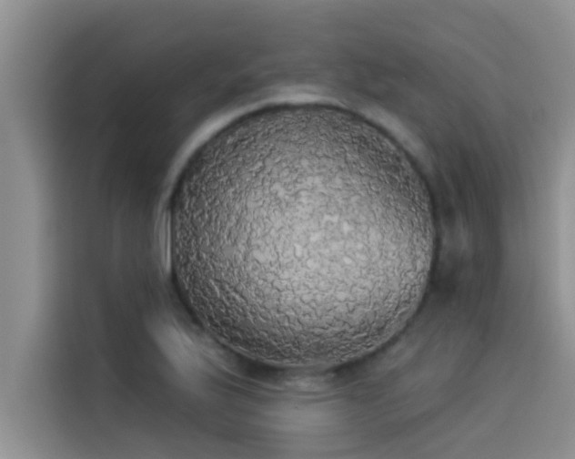 X0000114551175200910191405