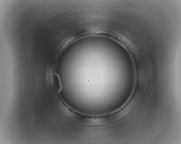 X0000114551177200910191405
