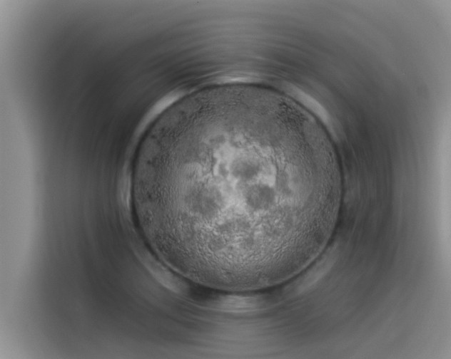 X0000114551179200910191405