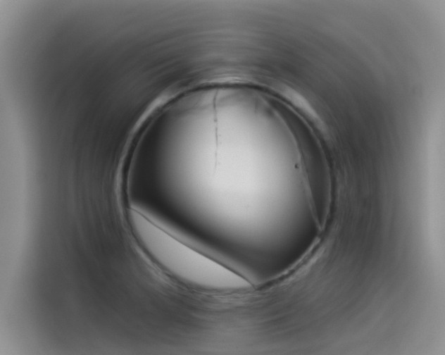 X0000114551181200910191405