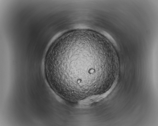X0000114551183200910191405