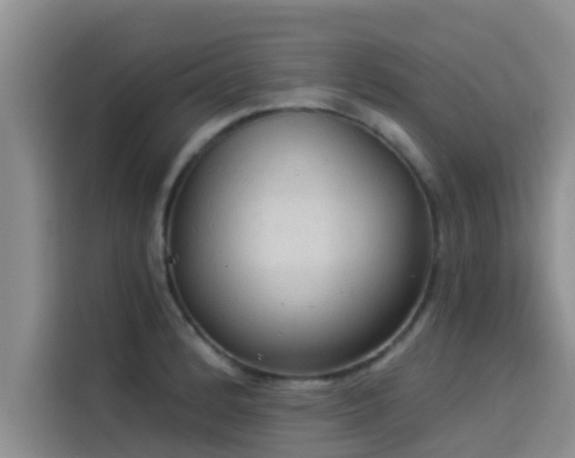 X0000114551184200910191405