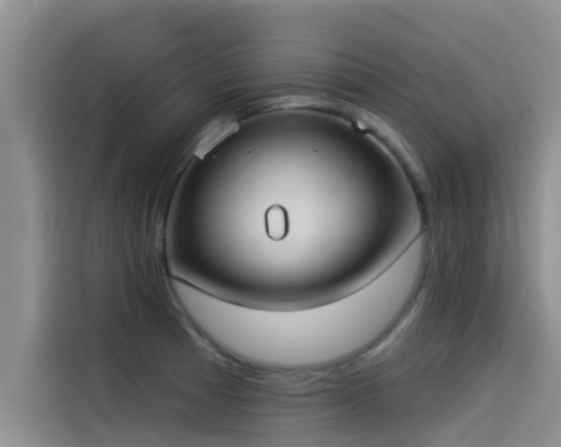 X0000114551185200910191405
