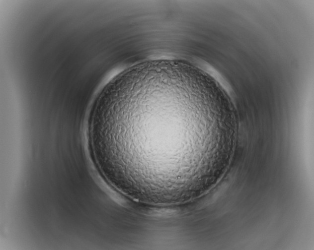 X0000114551187200910191405