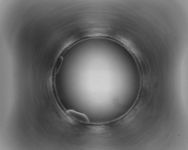 X0000114551189200910191405