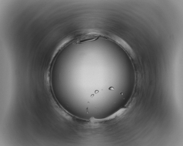 X0000114551190200910191405