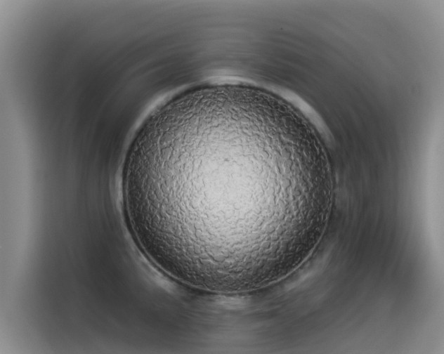 X0000114551191200910191405