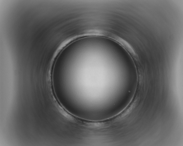 X0000114551192200910191405