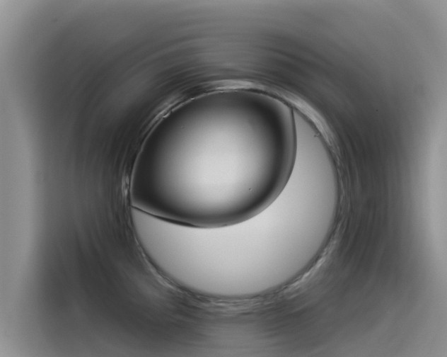 X0000114551193200910191405
