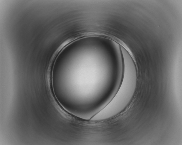 X0000114551195200910191405