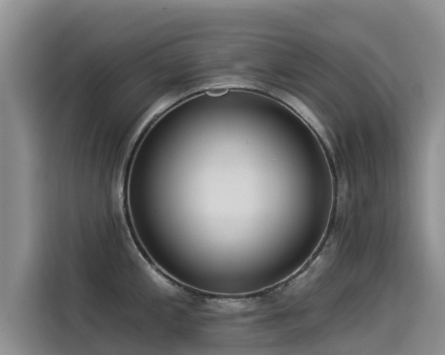 X0000114551197200910191405