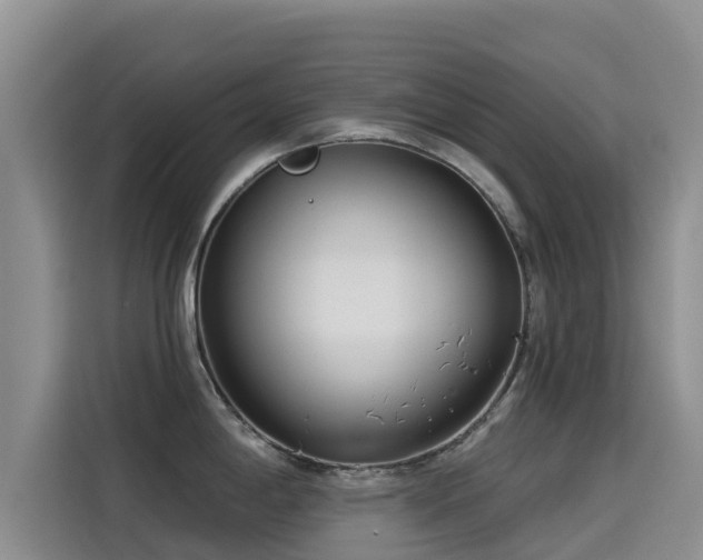 X0000114551198200910191405