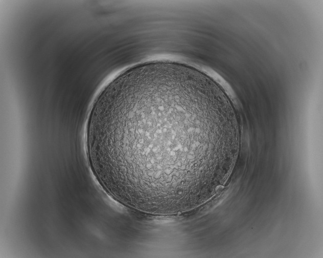 X0000114551199200910191405