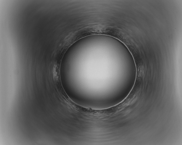 X0000114551202200910191404