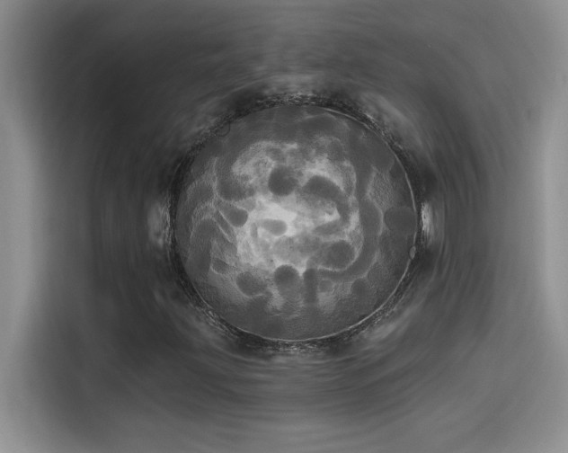 X0000114551203200910191404