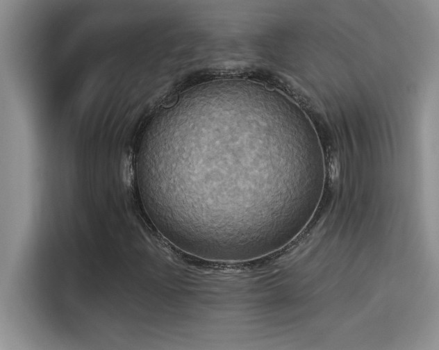 X0000114551204200910191404