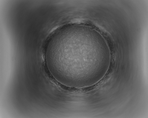 X0000114551206200910191404