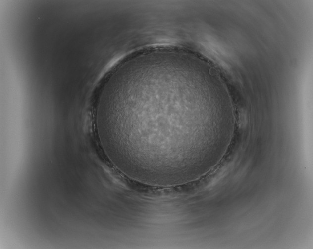 X0000114551208200910191404