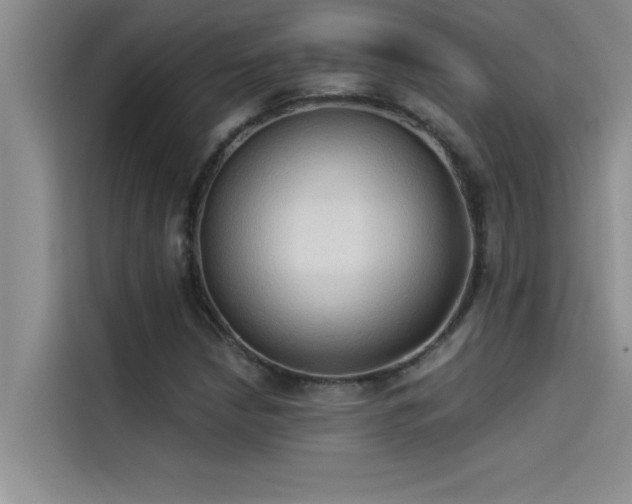 X0000114551210200910191404