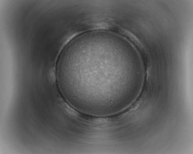 X0000114551212200910191404